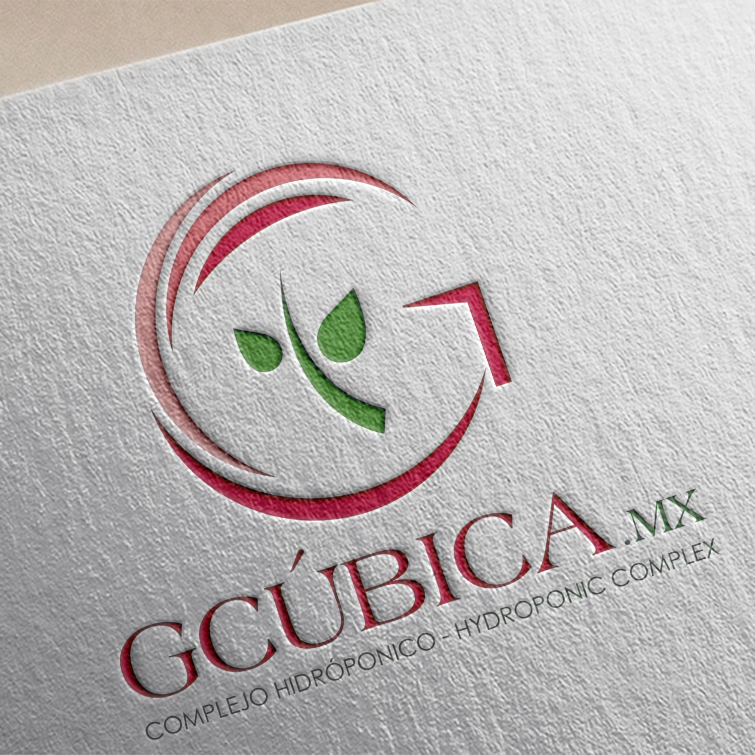 Rediseño logotipos México