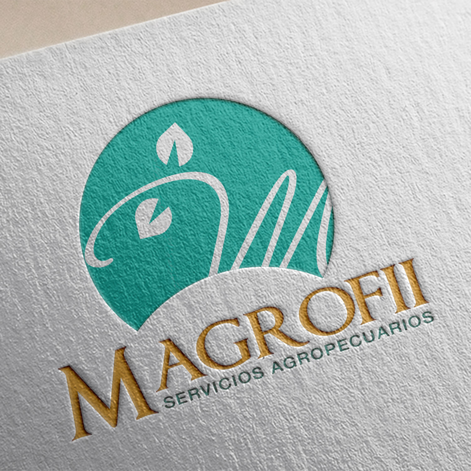 Rediseño logotipos México