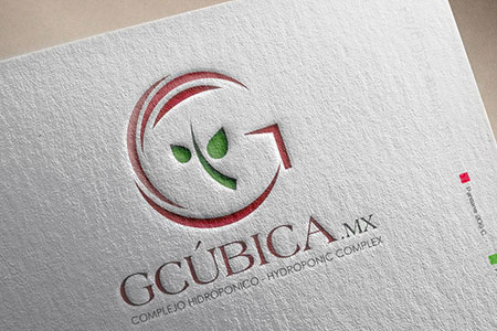 Diseño logo e identidad